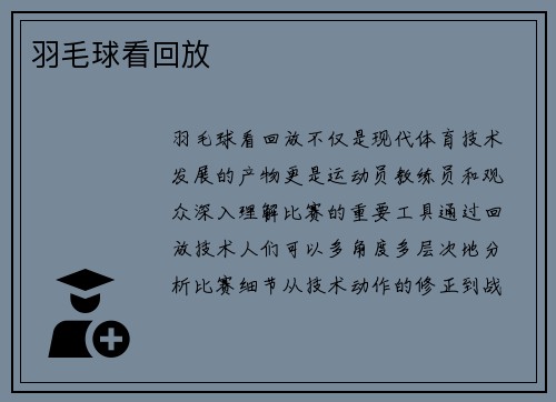 羽毛球看回放